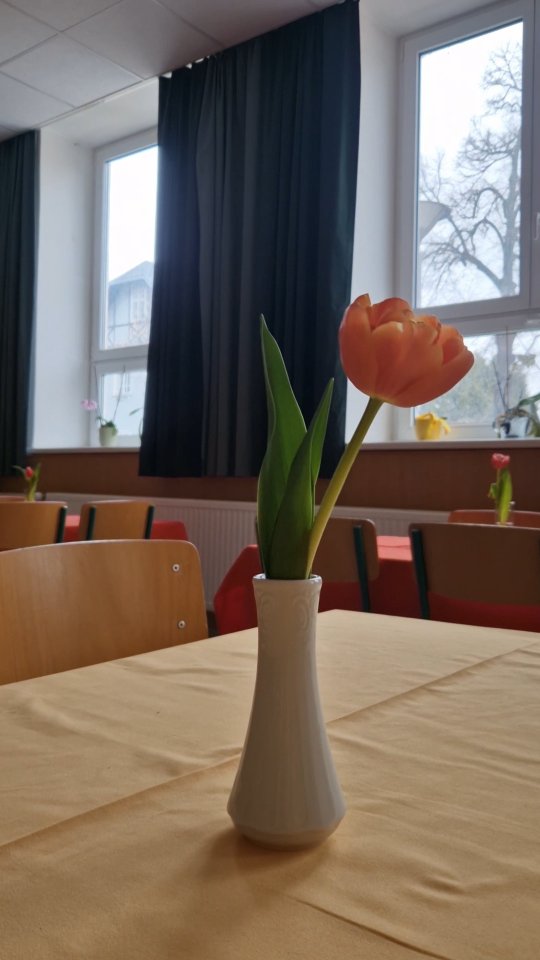 Diese Woche wurde es in unserer Schule besonders bunt – und besonders…